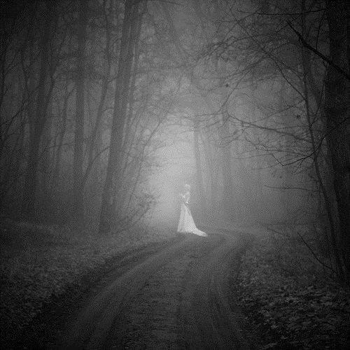 ghost-in-woods.jpg