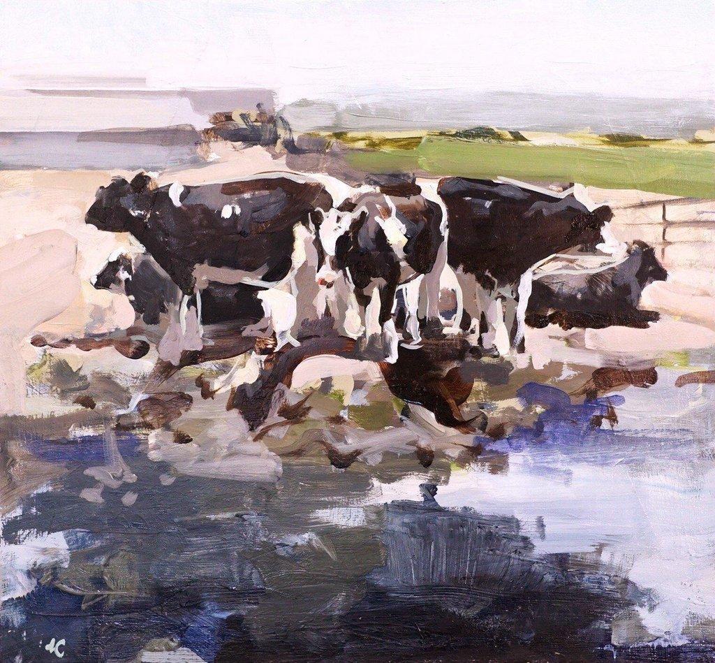 Cows-in-Feedlot.jpg