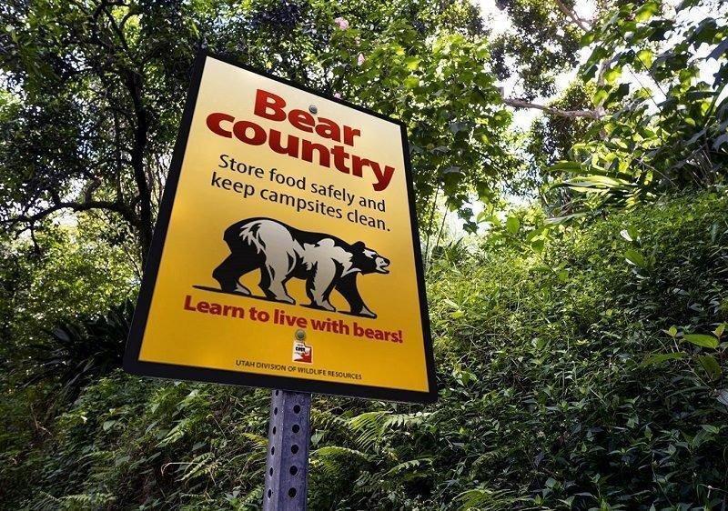 cory_maylett_6-8-2017_bear_country_sign.jpg