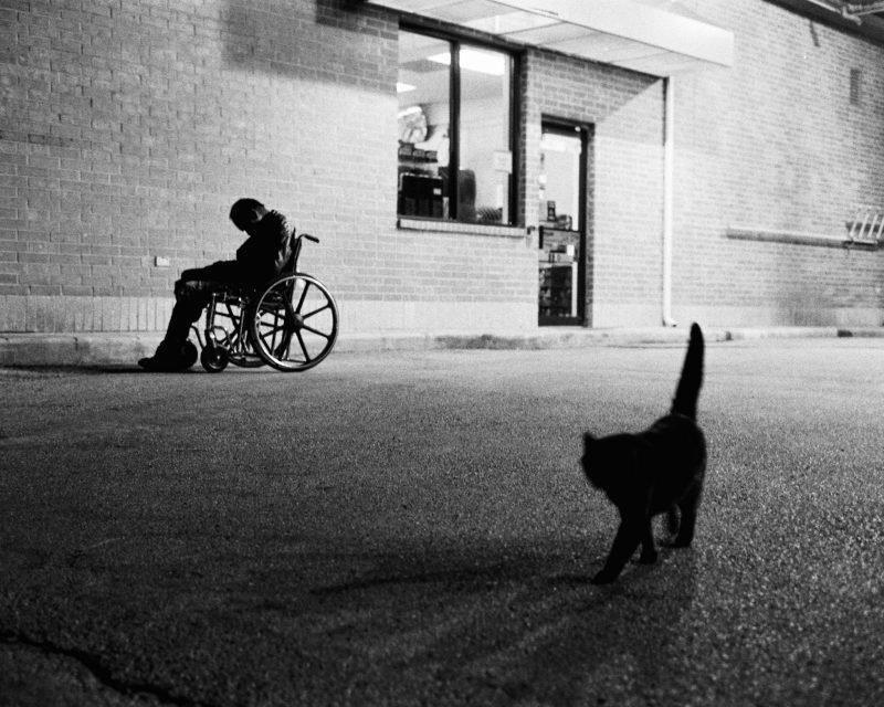 Trimble-Person-in-Wheelchair-Cat.jpg