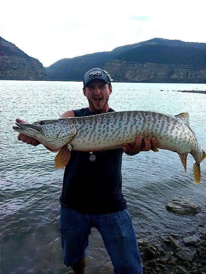 Posted-by-Kamie-Whiting-Joes-Valley-Reservoir-30-lbs-48-in-Levi-Glazier.jpg