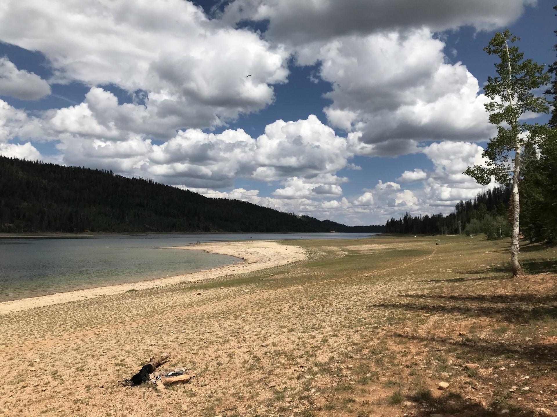 Navajo-Lake-1-scaled.jpg