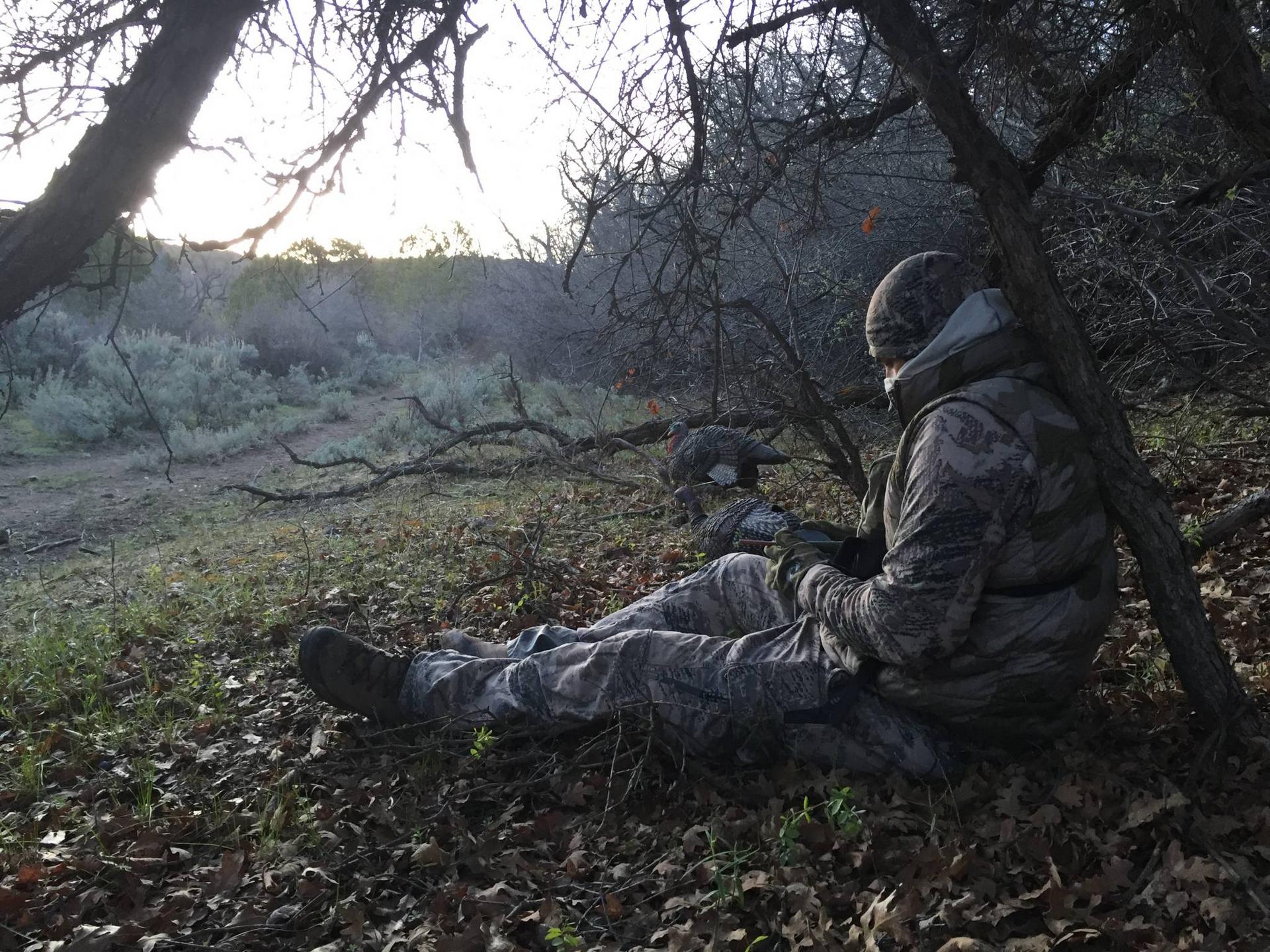 What Hunters Should Know for the 2023 Utah Spring Turkey Hunts ETV News