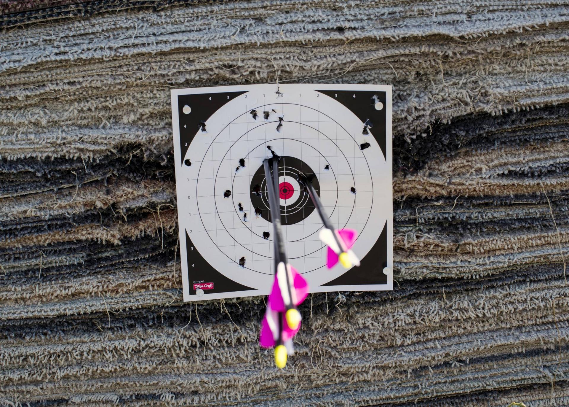 mike_christensen_7-26-2017_archery_target_and_arrows_at_Lee_Kay_Public_Shooting_Range.jpg