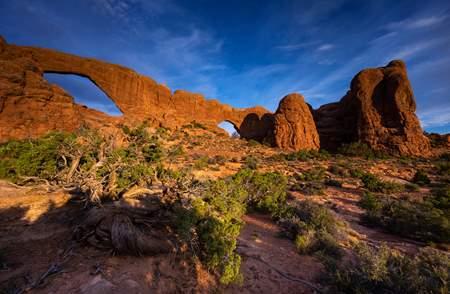arches-national-park_mighty-five_payne_angie_2020.jpg