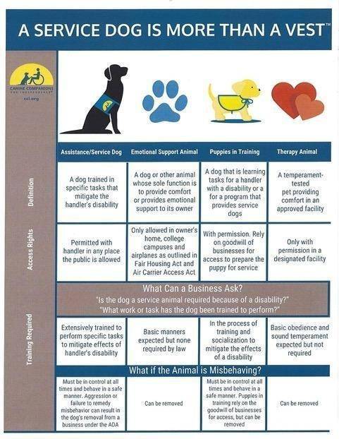 2018_CCI_Companion_Animals_Definition_Chart_3-1.jpg