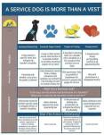 2018_CCI_Companion_Animals_Definition_Chart_3-1.jpg