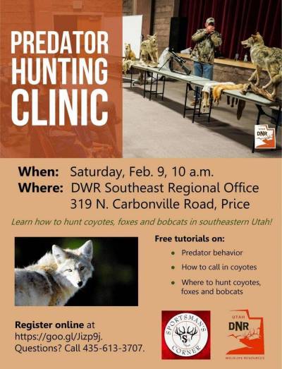 2019-predator-clinic-poster.jpg