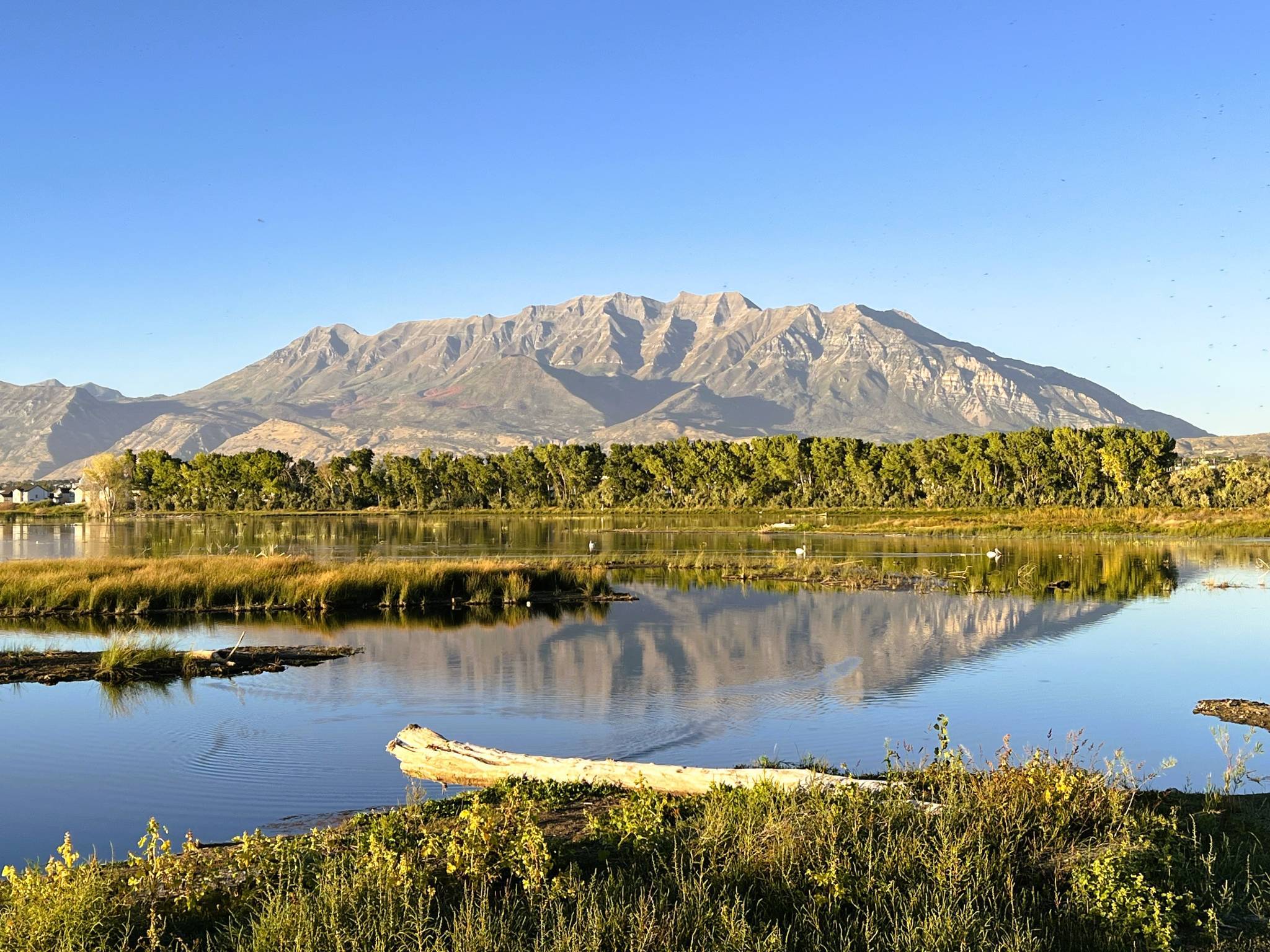 2024-09-24-scenic-Timp-in-background-2.jpg