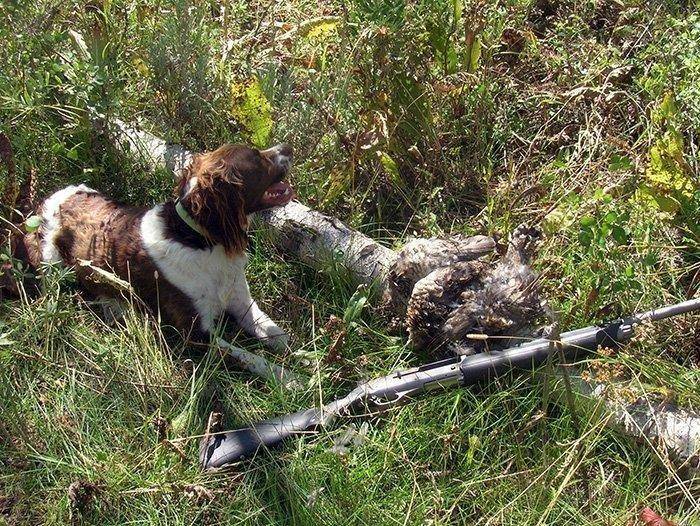 8-23-18_grouse.jpg