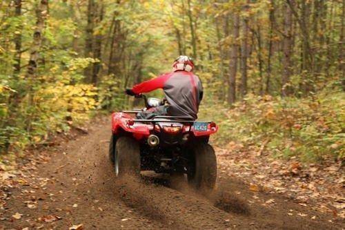 ATV-Riding-Forest.jpg