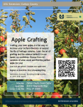 Apple-Grafting-Flyer-1.png