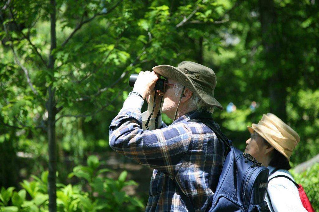 Birdwatching.jpg