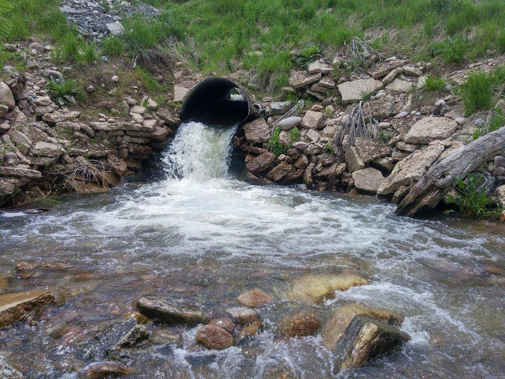 Dalton-Creek-Project-photo-credit-Trout-Unlimited-scaled.jpg