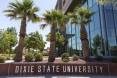 Dixie-State-Palm-Tree-Pic.jpg