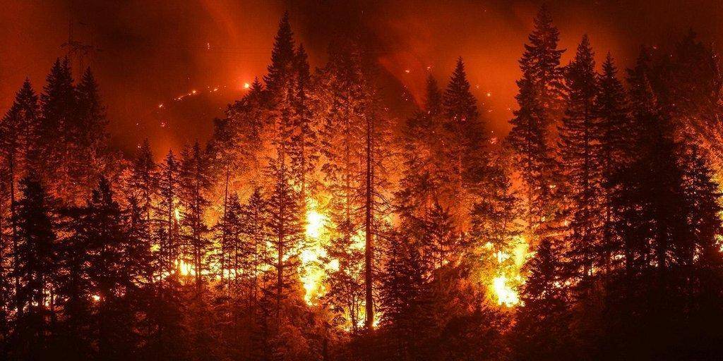 Eagle-Creek-Wildfire-Columbia-River-Gorge-Oregon-september-2017-shutterstock_710588278.jpg