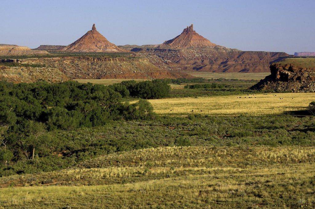 Indian_Creek_in_Bears_Ears_National_Monument-e1555538288566.jpg