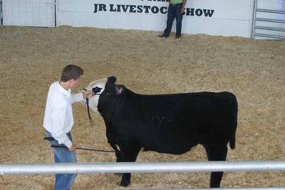 Livestock-Show.jpg