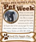 Pet-of-the-Week-.jpg