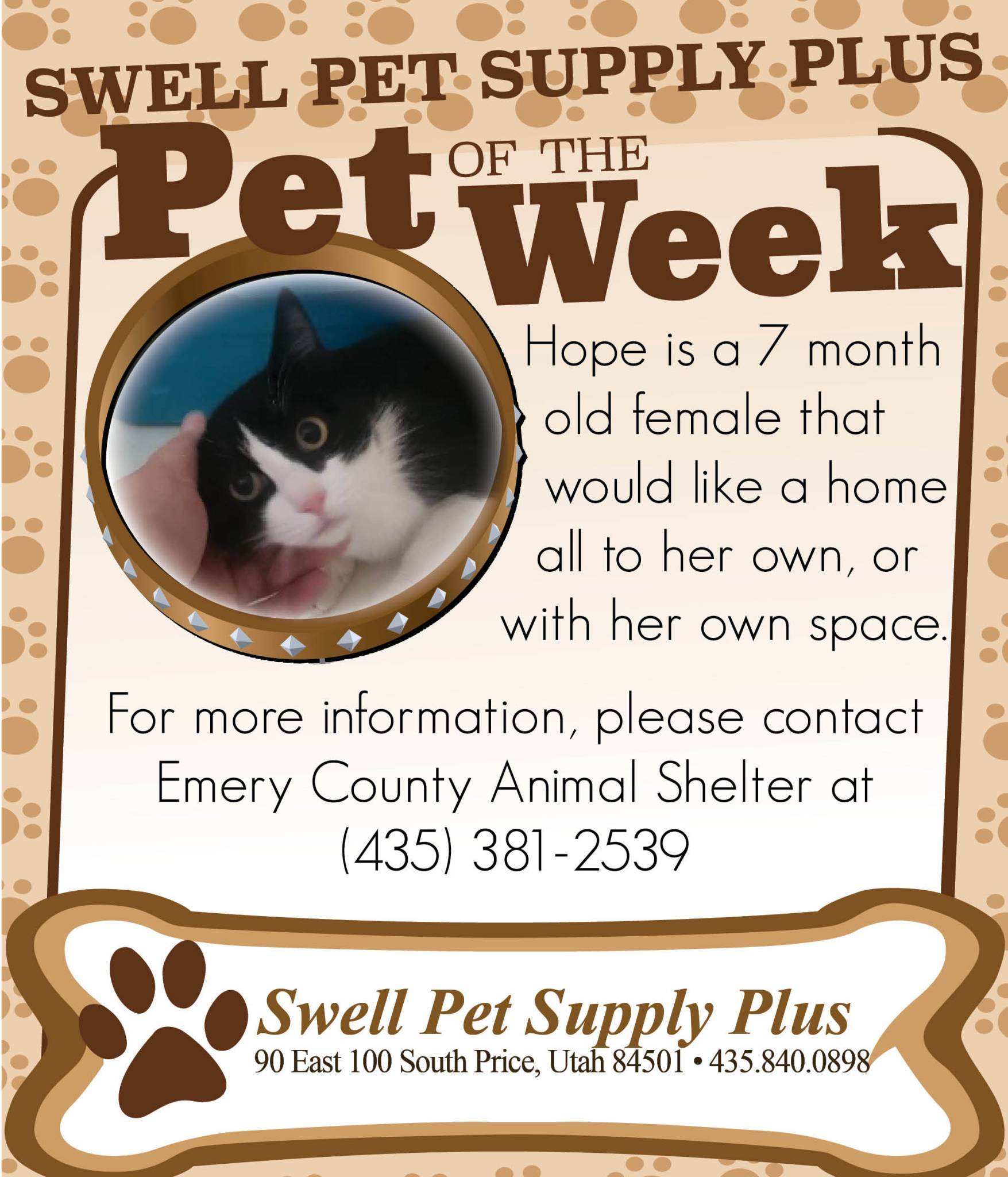 Pet-of-the-Week-.jpg