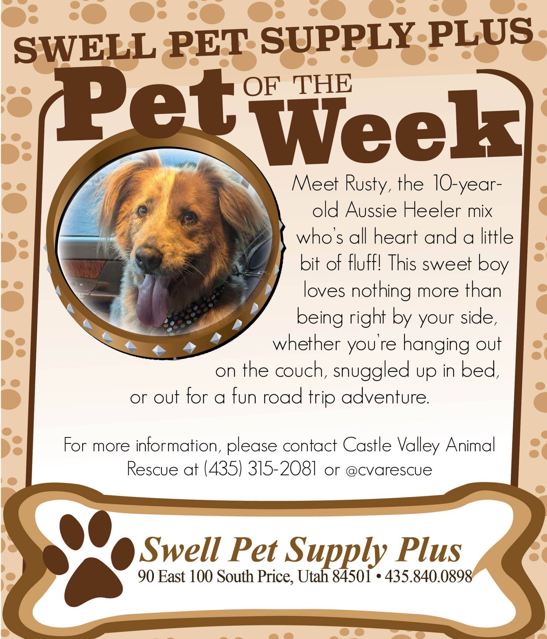 Pet-of-the-Week-.jpg