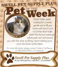 Pet-of-the-Week-.jpg