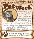 Pet-of-the-Week-1-1.jpg