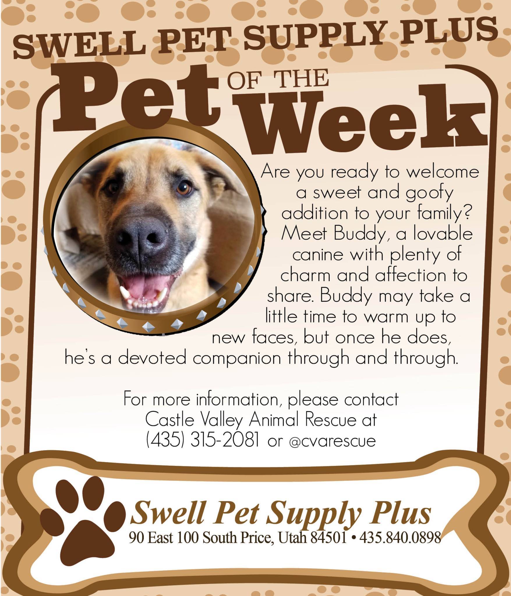 Pet-of-the-Week-1-1.jpg