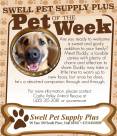 Pet-of-the-Week-1-1.jpg