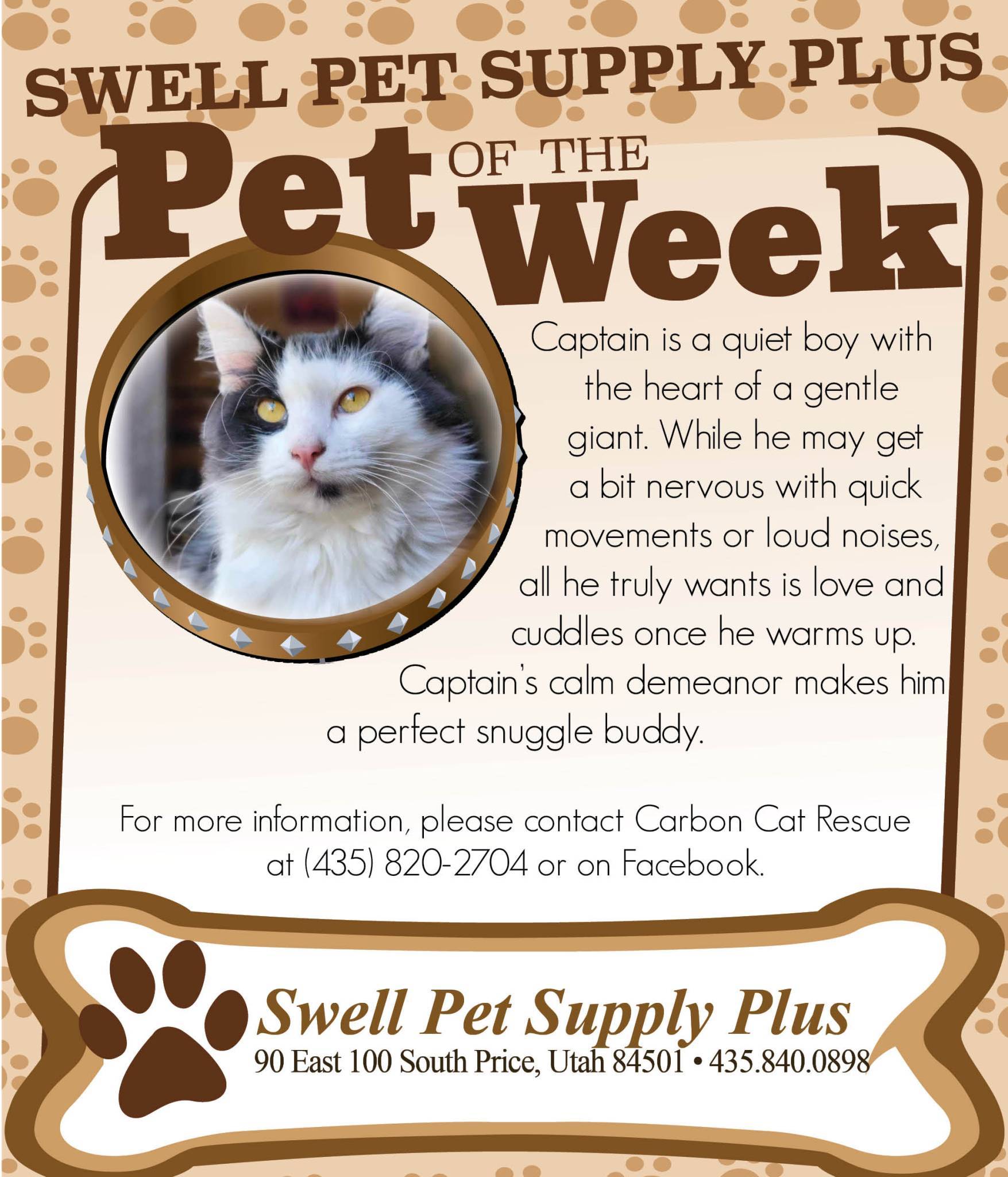 Pet-of-the-Week-1-1.jpg