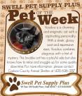 Pet-of-the-Week-1-2.jpg