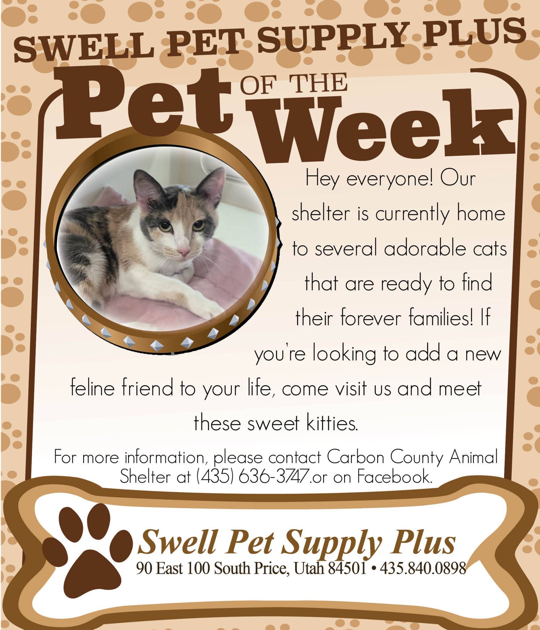 Pet-of-the-Week-1-2.jpg