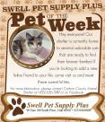 Pet-of-the-Week-1-2.jpg