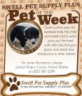 Pet-of-the-Week-1-3.jpg