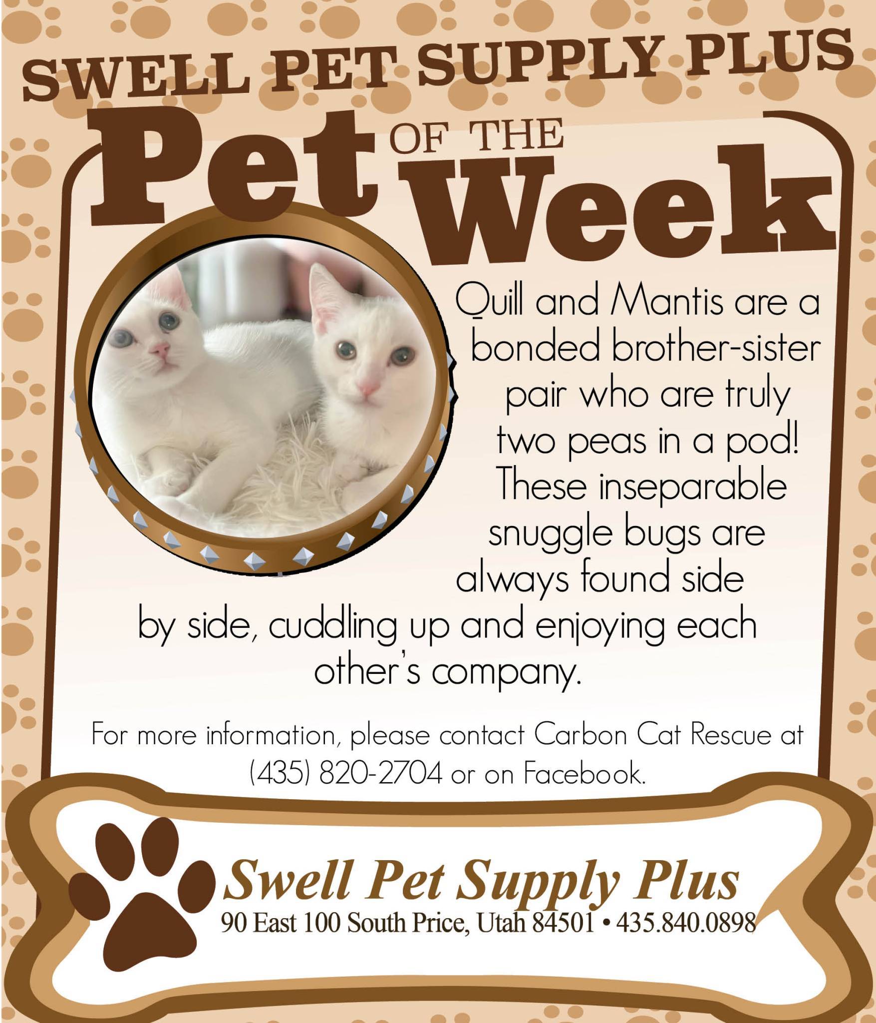 Pet-of-the-Week-1-3.jpg