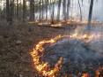 SRS_2016_-Fuel_Smoke_and_Prescribed_Fire_in_the_Ouachita_Mountains.jpg