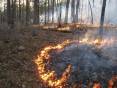 SRS_2016_-Fuel_Smoke_and_Prescribed_Fire_in_the_Ouachita_Mountains.jpg