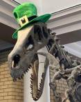 St.-Pattys-Raptor-cropped.jpg