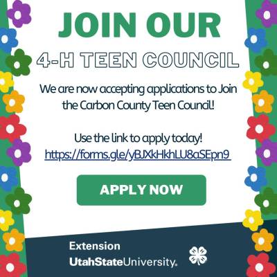 Teen-Council-2024.jpg