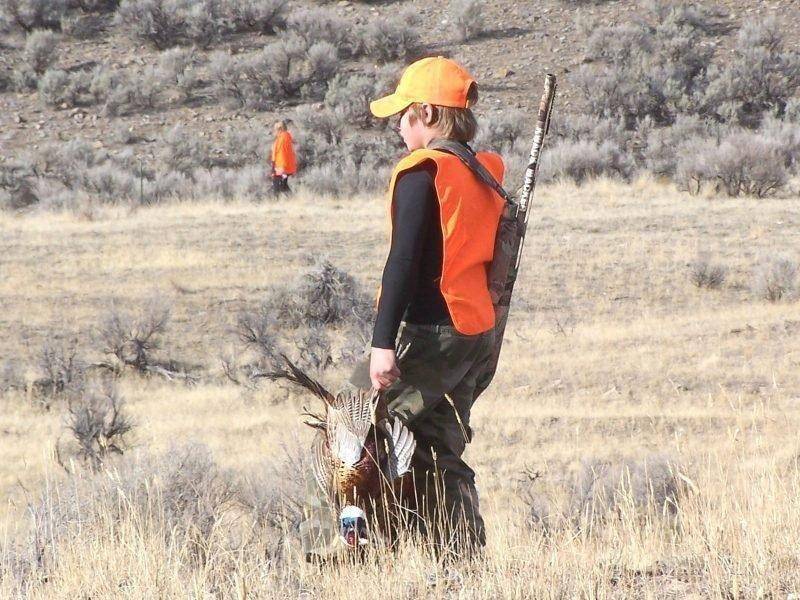 alan_peterson_youth_pheasant_hunt_1.jpg