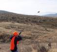 alan_peterson_youth_pheasant_hunt_3.jpg