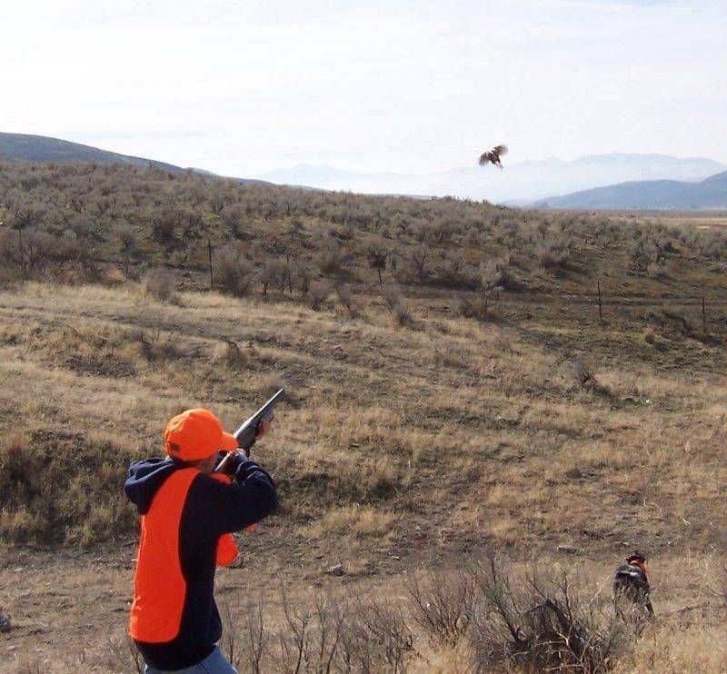 alan_peterson_youth_pheasant_hunt_3.jpg