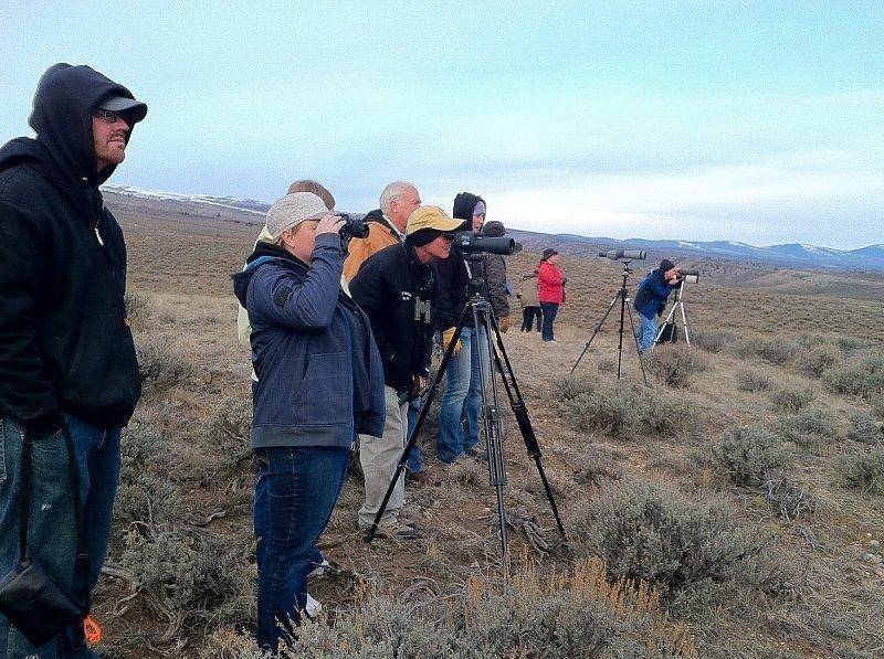 brent_4-5-2014_viewers_watch_sage_grouse_at_Emma_Park.jpg