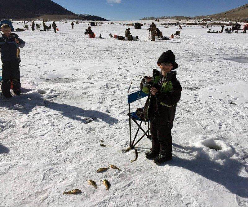 bryan_engelbert_2015_yellow_perch_at_Fish_Lake_2-800x668-800x668.jpg