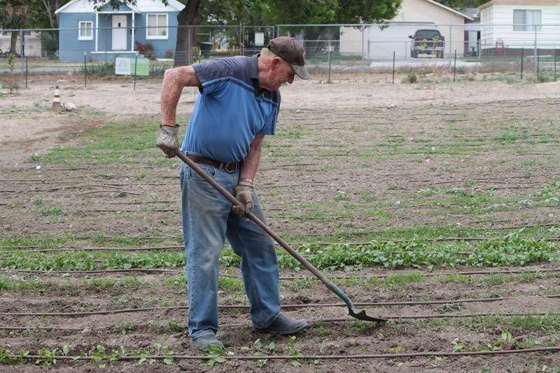 community-garden.jpg