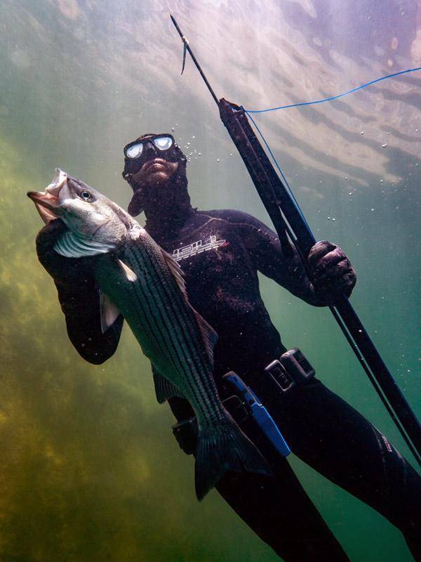 darvil-mcbride-record-spearfishing-striped-bass-2022.jpeg