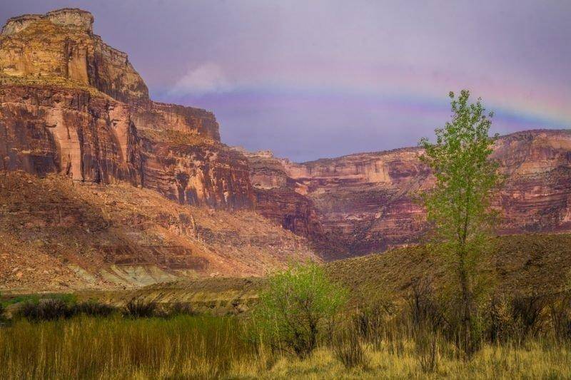 desert-rainbow_orig.jpg