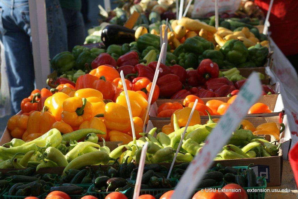 farmers-market-0759.jpg