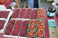 farmers-market-39921.jpg