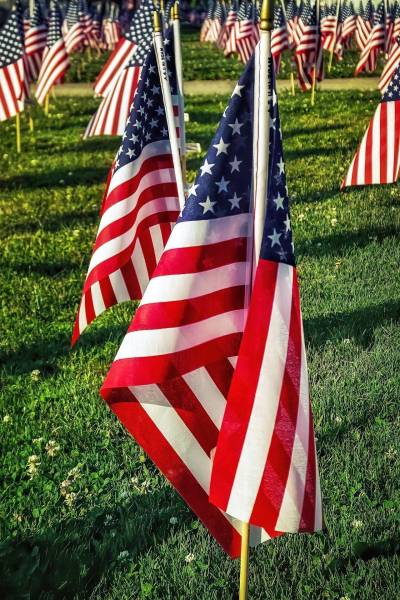 flags-g966cf9de6_1920.jpg